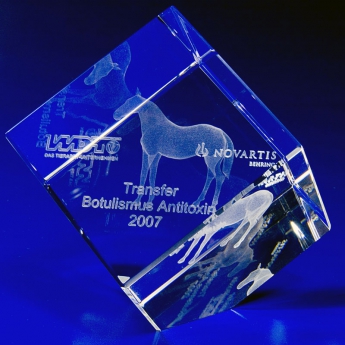 Transfer Botulismus Antitoxip